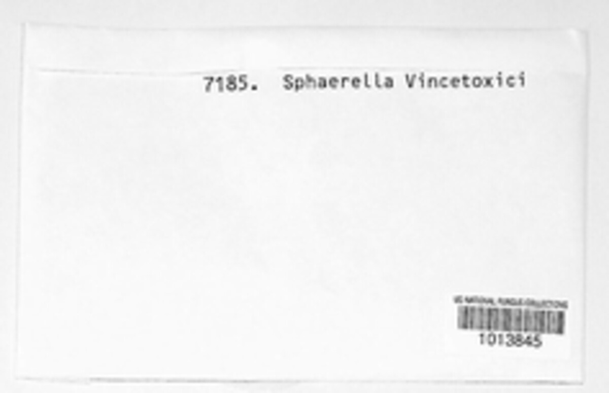 Sphaerella vincetoxici image